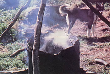 
A watchful husky assesses the stew's progress. The dog pot is the bottom half of a 55-gallon drum, suspended from a tripod over an open fire.
